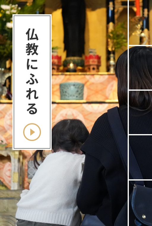 仏教にふれる