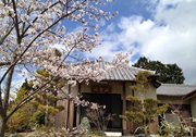 淨蓮寺