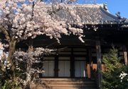 西光寺